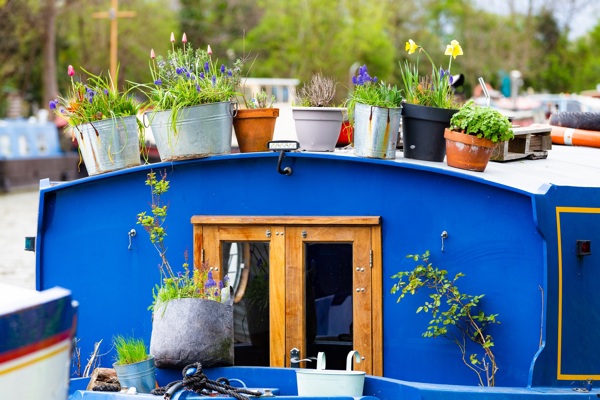 A close up of a blue narrowboat with potted plants on it