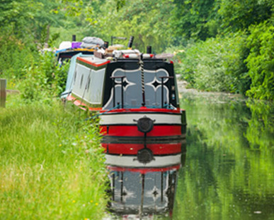 Boat On A Very Verdant Canal